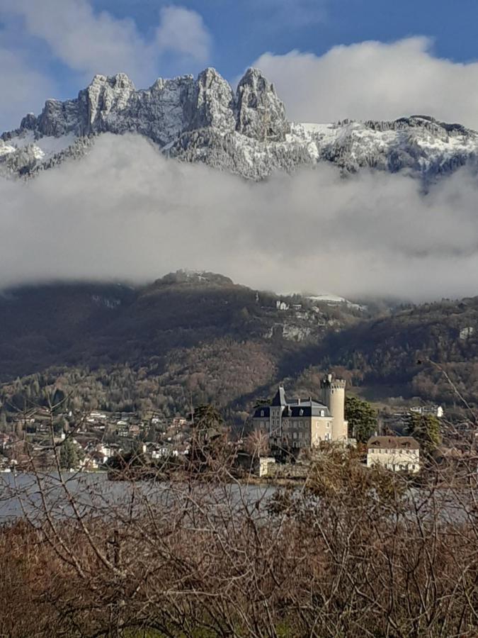 Apartament La Carte Postale Duingt Zewnętrze zdjęcie